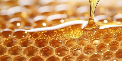 Close-up of honeycombs dripping with golden honey showcasing natural amber hues and intricate hexagonal patterns photo