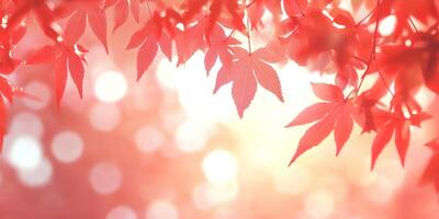 Bright and beautiful red autumn leaves illuminated by warm sunlight in a natural setting with inviting bokeh effects photo