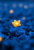 A field of dark wildflowers illuminated at twilight with a unique flower symbolizing beauty and individuality photo
