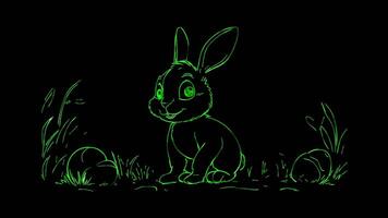 Neon frame effect, Bunny A symbol of Easter and spring celebrations on black background video