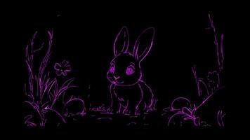 Neon frame effect, Bunny A symbol of Easter and spring celebrations on black background video