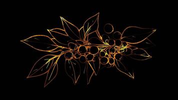Neon frame effect, Mistletoe A symbol of holiday gatherings and traditions on black background video