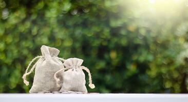 Brown burlap sacks filled with coins arranged in ascending order and some scattered on a white surface, with a blurred background of bushes, representing growth in savings and financial planning. photo