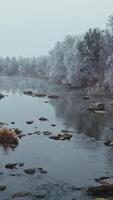 Beautiful river in winter season. Flight over the trees covered with white snow on both sides of a river. Drone view. Vertical video