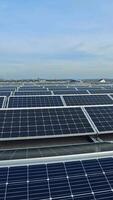linhas do solar painéis dentro a moderno Fazenda. Inovativa fonte do Claro energia a partir de a Sol. sustentável e renovável energia. vertical video