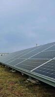 solar painéis debaixo a azul céu. mineração eletricidade de solar painéis. solar pilhas em a Relva dentro a poder estação. fechar-se. vertical video