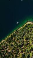 White boats sailing by the azure surface of the Lake Tahoe in California, USA. Thin sandy line of a shore around the lake changing to pine tree forest. Top view. Vertical video