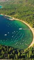 Flying closer to the numerous boats in the bay of Lake Tahoe. Pine trees overgrowing the shore. Aerial perspective on sunny day. Vertical video