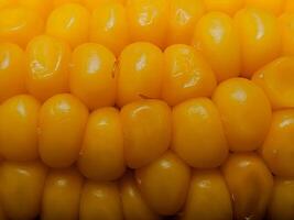Intimate view of maize kernels, emphasizing their uniform arrangement and smooth surface. photo