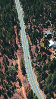 Motorway through the pine tree forest. Flying over the wooded territory with some cottages among the trees. Vertical video