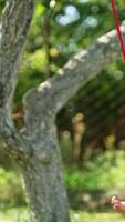 Lovely toddler swinging on a blue swing in the garden. Baby looking attentively into camera. Side view. Blurred backdrop. Vertical video