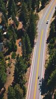 Private houses located in the pine tree wood. Drone descending over the highway passing through the forest on sunny day. Vertical video