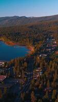 Inhabited shore of Lake Tahoe surrounded by thick pine tree forest. Boat pier with lots of yachts from aerial perspective. Vertical video