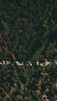 Rocky landscape covered with pine trees. Speed highway crossing the wildlife forest on sunny day footage. Top view. Vertical video