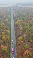 Amazing view of natural environment of autumn forest. Straight asphalt road between colorful forest trees. Camera moves top down. Vertical video