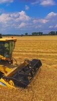 Harvester machine to harvest wheat field working. Combine harvester working on a wheat field. Vertical video