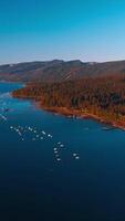 Pine tree forest overgrowing the mountainous shore of Lake Tahoe, California, USA. Peaceful smooth surface of blue water with numerous boats on. Aerial view. Vertical video