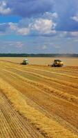 Combine harvester working on a wheat field. Combine harvester Aerial view. Vertical video