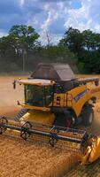 Combine harvester in action on the field. Combine harvester. Harvesting machine for harvesting a wheat field. Vertical video