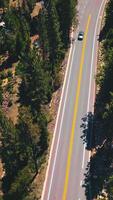 Two-lane road with yellow marking. Descending over the highway going through the pine tree wood. Vertical video