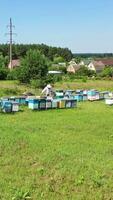 Apiary on field in summer. Beekeeper working near the beehives on the background of rural houses. Beekeeping process. Aerial view. Vertical video