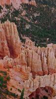 Unbelievable rocky columns of Bryce National Park in Utah, USA. Amazing pink rocks crated by air erosion with pine wood at the foot. Top view. Vertical video