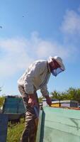 Apiculture process. Apiarist works with chimney over wooden beehive. Beekeeper in protective hat is looking after bees on summer nature background. Vertical video