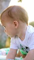 Nice little boy sitting on the blankets on the ground. Adorable child in the garden resting. Low angle view. Blurred backdrop. Vertical video