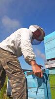 Beekeeper works with hives. Apiarist puts wooden boxes against blue sky in the apiary. Apiculture concept. View from below. Vertical video
