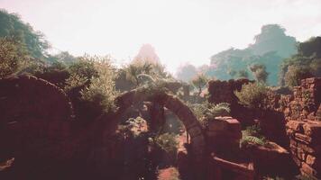 Lush greenery envelops ancient ruins in a vibrant jungle during sunlight video