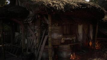 A rustic shed with barrels and a thatched roof in a forested area at dusk video