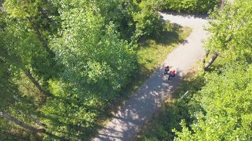 Sunny view from a helicopter. Clip. Young people in working uniforms are walking through the park to finish a construction object. video