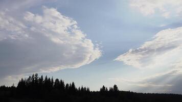 Panoramic view of beautiful sky with clouds and shadow of horizon. Media. Beautiful landscape with shadow of forest on background of blue sky with clouds. Bright sky with clouds and sun video