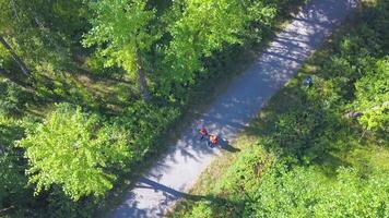 Sunny view from a helicopter. Clip. Young people in working uniforms are walking through the park to finish a construction object. video