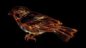 Neon frame effect, Sparrow Often seen in spring festivals and celebrations on black background video