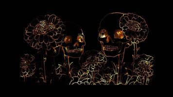 Neon frame effect, Marigold Flowers Used in Dia de los Muertos Day of the Dead celebrations on black background video