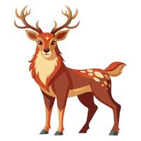 Deer Art Featuring Elegant Design of Majestic Deer in Various Poses and Styles vector