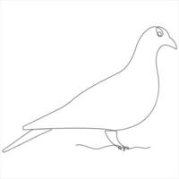 Single line continuous line drawing of bird minimalist bird pigeon outline design illustration vector