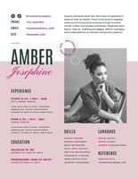Influencers Minimalist Dual Tone Resume template