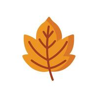 autumn leaf icon illustration vector
