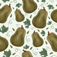 seamless autumn pattern with green long pumpkins with pumpkin seeds and pumpkin leaves on a light background vector