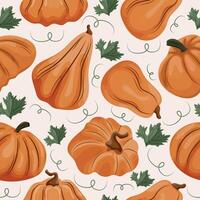 autumn seamless pattern with pumpkins of round long and convex shape of orange color and pumpkin leaves on a light background vector