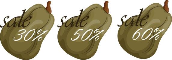 set of autumn black friday sale design with green long pumpkins with various discount numbers in it vector