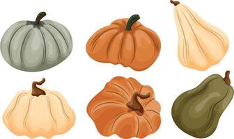 set of different pumpkins of different sizes and different colors vector