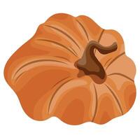 autumn orange convex pumpkin icon, for various designs and posters vector