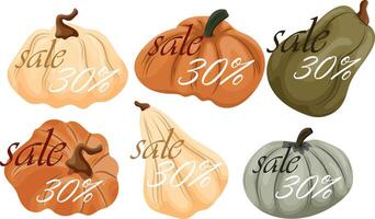 black friday autumn sale design set with various pumpkins of different colors and sizes with 30 off them vector