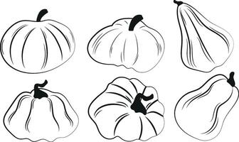 big set of autumn pumpkins logos drawn with curved contours in black color in abstract style vector