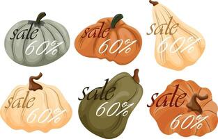 black friday autumn sale design set with various pumpkins of different colors and sizes with 60 off them vector