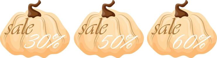set of autumn black friday sale design with round white pumpkins with various discount numbers in it vector