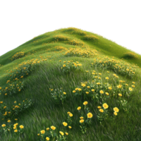 Lush Hill Adorned with Vibrant Yellow Flowers in Spring for Nature Enthusiasts Transparent Background png